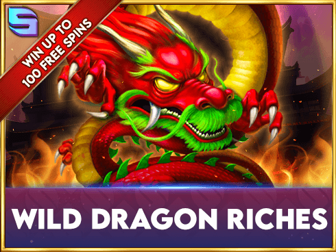 Wild Dragon Riches